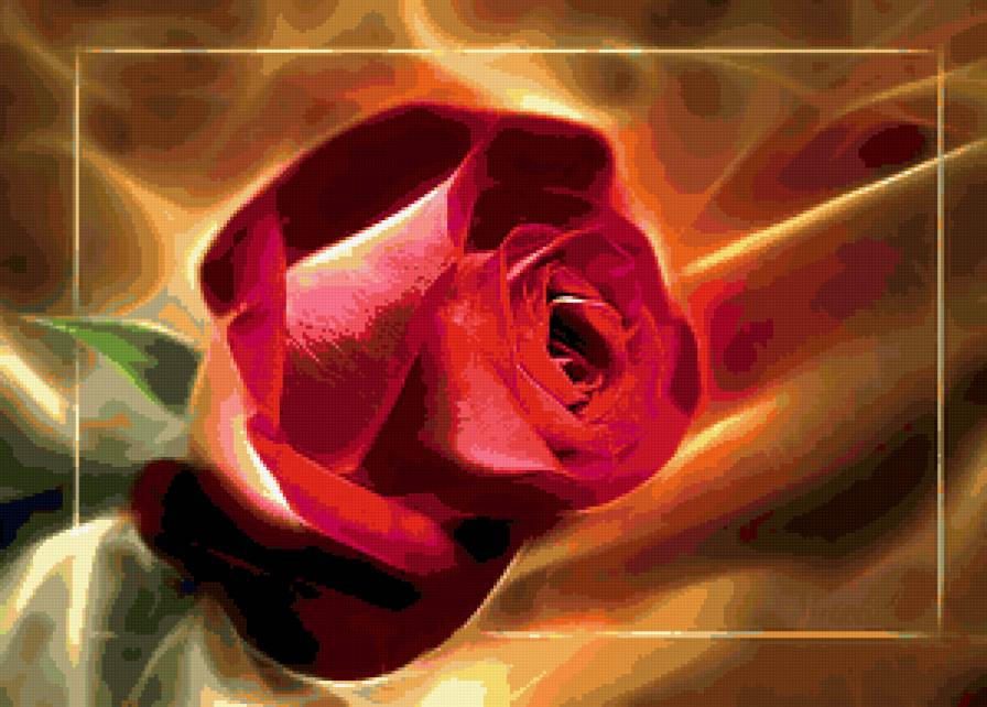 роза - роза, розы, цветы, цветок - предпросмотр