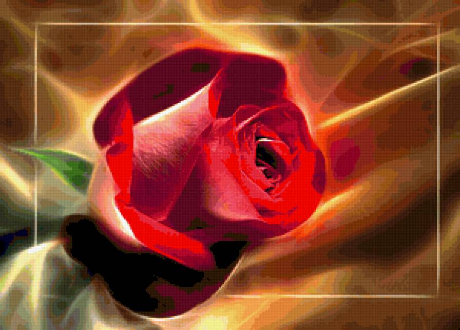 роза - цветок, розы, цветы, роза - предпросмотр