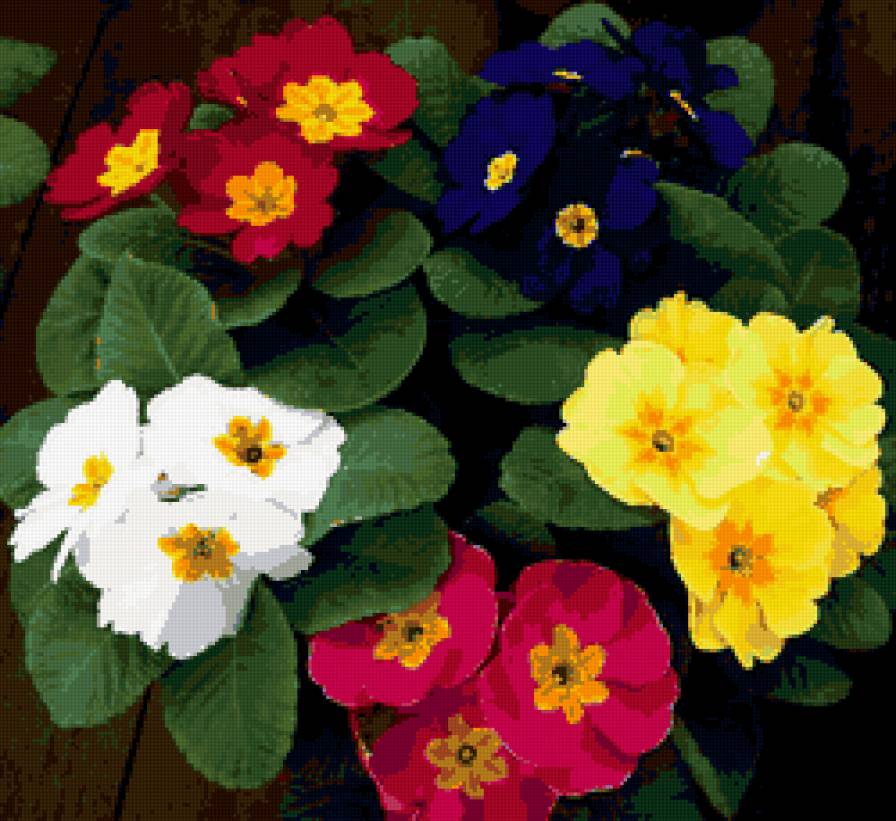 №339279 - цветы - предпросмотр