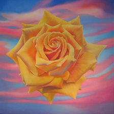 Схема вышивки «Роза»