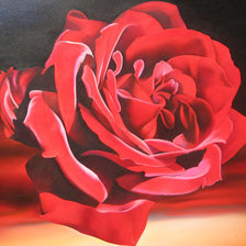 Схема вышивки «Роза»