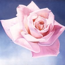 Схема вышивки «Роза»