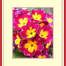 Схема вышивки «№339299»