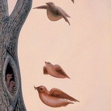 Схема вышивки «иллюзия»