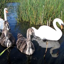 Схема вышивки «№339349»