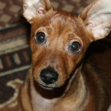 Схема вышивки «№339375»