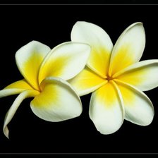 Схема вышивки «контраст»