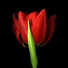 Схема вышивки «контраст2»