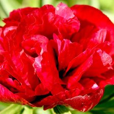 Схема вышивки «№339392»