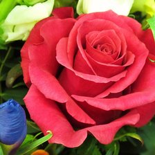 Схема вышивки «роза»