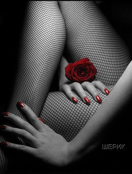 Девушка - роза, девушка, цветок - оригинал