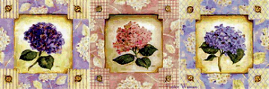 гортензия - кухня, красота, цветы - предпросмотр