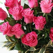 Схема вышивки «№339554»