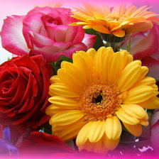 Схема вышивки «№339559»