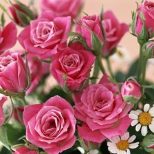 Схема вышивки «№339565»