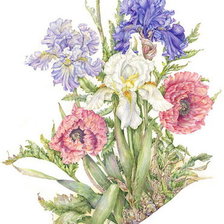 Схема вышивки «6675432»