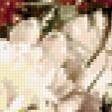 Предпросмотр схемы вышивки «букет39» (№339573)