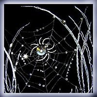Схема вышивки «паук»