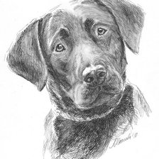 Схема вышивки «щенок»