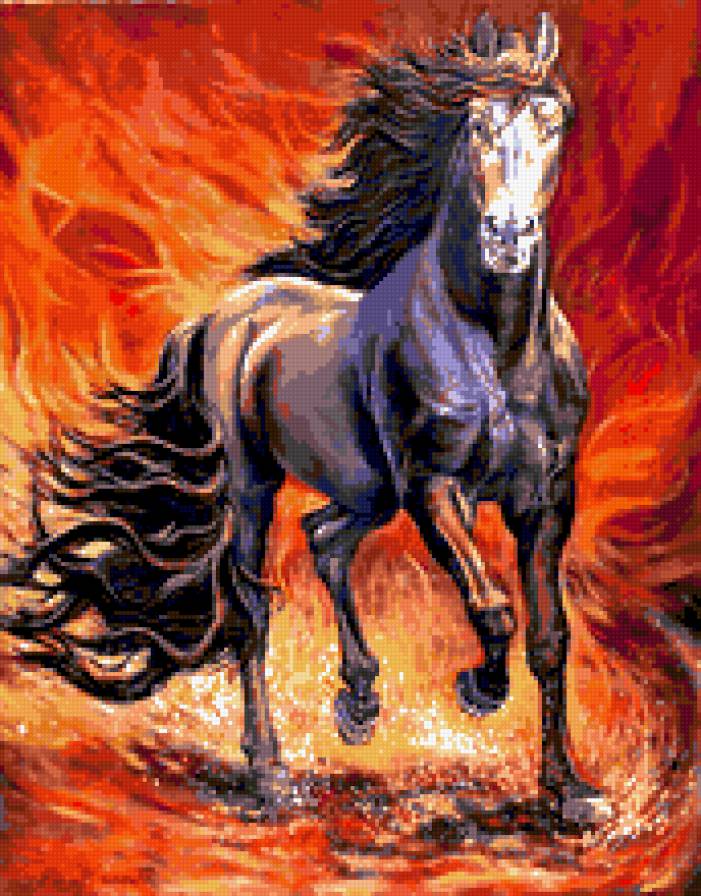 Черный жеребец - предпросмотр