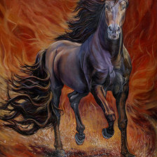 Черный жеребец