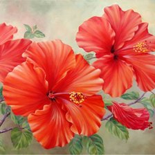 Схема вышивки «Цветы»