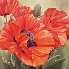 Схема вышивки «Цветы»