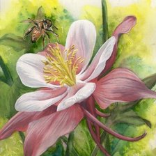 Схема вышивки «Цветы»