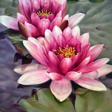 Схема вышивки «Цветы»