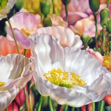 Схема вышивки «Цветы»