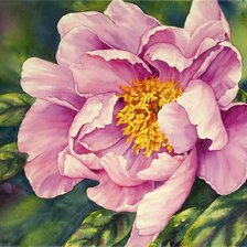 Схема вышивки «Цветы»