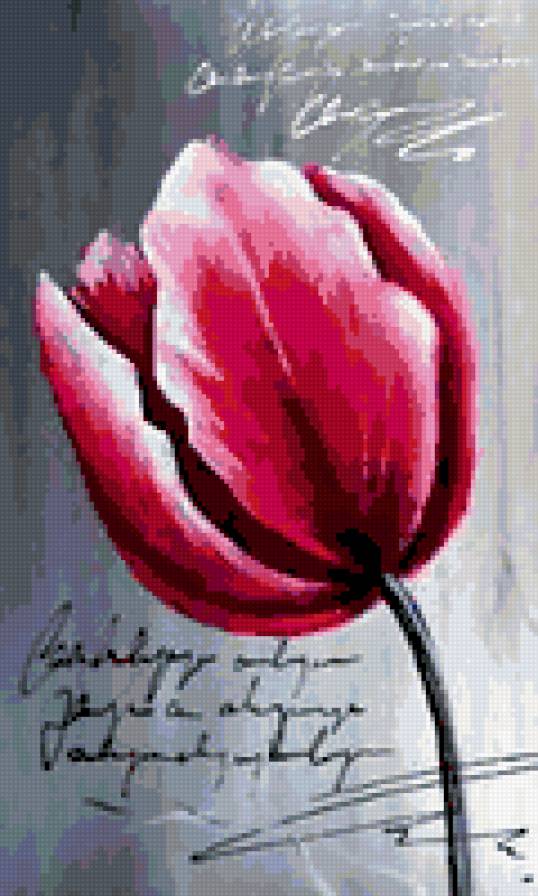 Тюльпан - цветы, тюльпан - предпросмотр