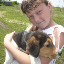 Схема вышивки «№340182»