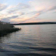 Схема вышивки «тошнгиит свинью»