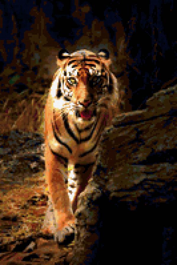 Тигр - предпросмотр