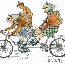 Схема вышивки «№340532»