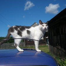 Схема вышивки «Жду...»