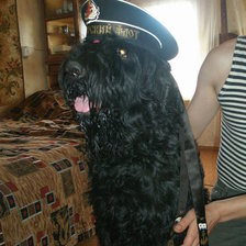 Схема вышивки «Мегги»