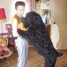 Схема вышивки «№340543»