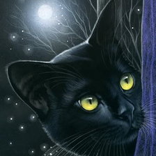 Схема вышивки «коты Гармашовой Ирины 2»