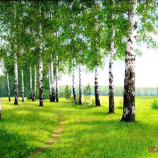 Схема вышивки «Тропинка среди берез.»