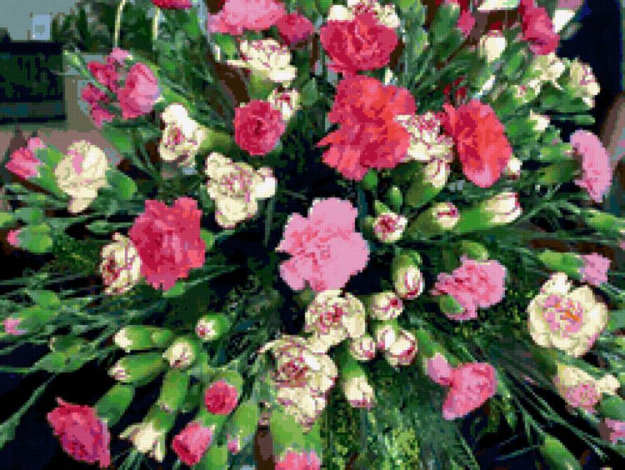 букет - букет, гвоздики, цветы, бутоны - предпросмотр