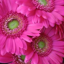 Схема вышивки «№340832»