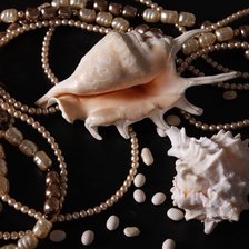 Схема вышивки «натюрморт»