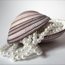 Схема вышивки «цветы»