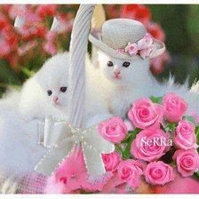 Схема вышивки «серия "кошки"»