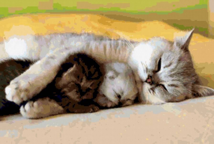 серия "кошки" - кошка.котята - предпросмотр