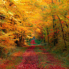 Схема вышивки «ЗОЛОТАЯ ОСЕНЬ»