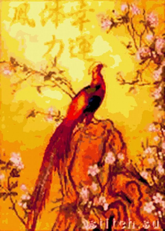 ЗОЛОТОЙ ФАЗАН - птицы - предпросмотр