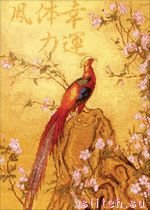 Схема вышивки «ЗОЛОТОЙ ФАЗАН»